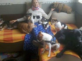 Hundepension Wuffvital