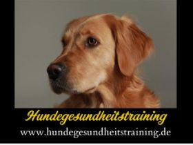 Hundegesundheitstraining