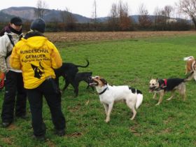 Hundeschule Gebauer