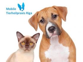 Mobile Tierheilpraxis Riga