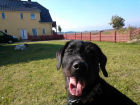 Urlaub auf Rügen? Natürlich mit Hund/en!!!