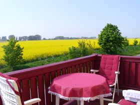 Urlaub auf Rügen? Natürlich mit Hund