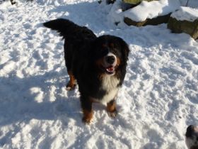 Xandl vom Edtmaiergut