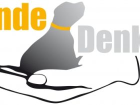 Hundeschule Hunde-Denken