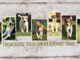 von der Blockhaus-Bande