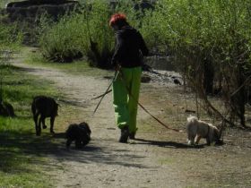 Feuchtnasen Gassiservice