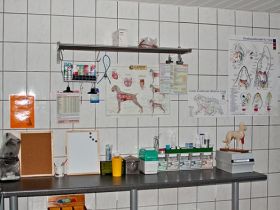 Tierheilpraxis Swanie Simon