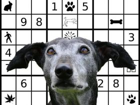 Mentales Training für den " Best Ager"