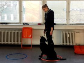 Anna's Trainingsservice