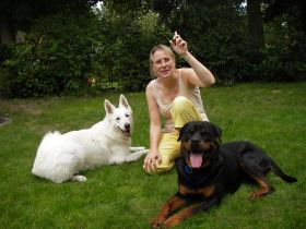 HUNDE zu LIEBE, Hundetraining Problemhundetherapie