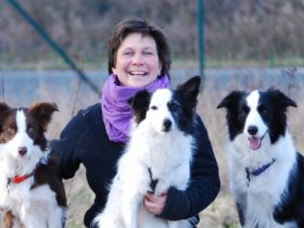 Hundeschule Arbeitsamt für Hunde