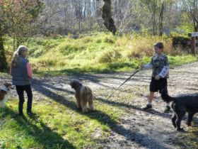 Lebensfreude Hund e.V.