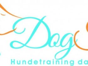 DOGTime - Hundetraining das verbindet