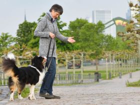 Beziehungskiste Mensch-Hund