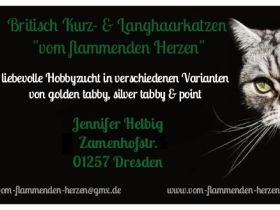 vom flammenden Herzen