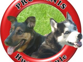 Hundeschule Pro Canis