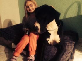 von den Bischofsbäumen