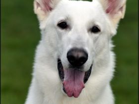 Arne vom Lausitzer Seenland