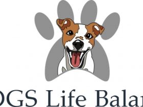 DOGS Life Balance