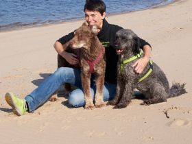 Weser-Hunde: Training für Hunde m Jagdleidenschaft