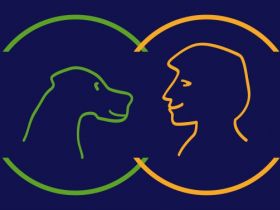 FREUNDSCHAFT OHNE LEINE - Hundeschule Stummeier