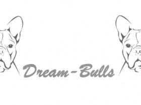 von Dream-Bulls