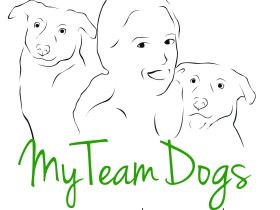 My-Team-Dogs, Familien- / Assistenzhundeausbildung