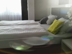 Aparthotel zum Löwen