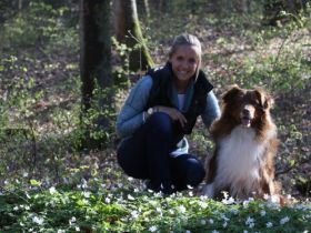 Hundeschule Leinen Los