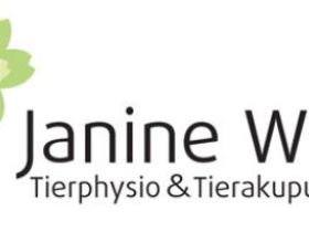 Tierwohl - Physiotherapie für Hunde