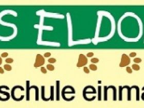 Dogs Eldorado - Hundeschule einmal anders...