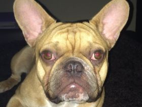 He Man alias Tequilla