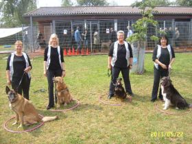 DVG HST Hundesport-Team-Osnabrück