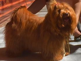 Ernesto Che Guevara the sun from Rodenberg