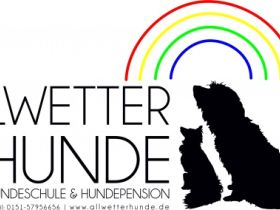 Allwetterhunde