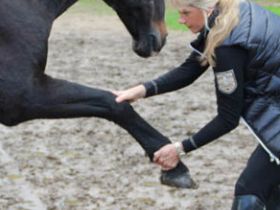 Naturheilpraxis Ellen Hilgers