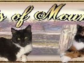 Coonie Cats of Mount Kirseifen