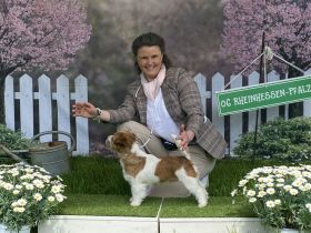 vom Roten Feldweg (INT)