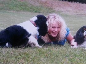 Helfende Hunde mit Herz