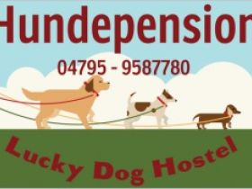 Hundepension " Lucky Dog Hostel "