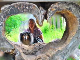 Hundepension STEINMETZ