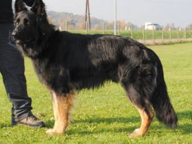 Jacky-Joe of Black Magic