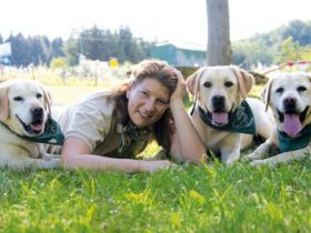 Tierpsychologische Hundeschule Marschall