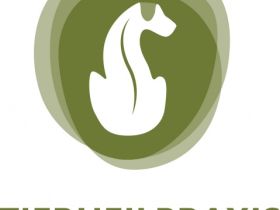 Nadine Kosian, Tierheilpraktikerin & Osteopathin für Kleintiere