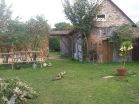 Hunde-Hof Wald & Wiese