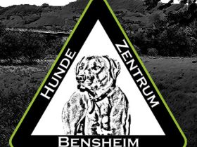 Hundezentrum Bensheim