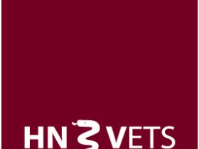 HN-Vets UG