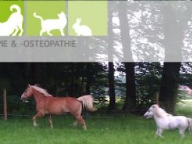 Mobile Tierphysiotherapie & -osteopathie Kerstin Schäfer