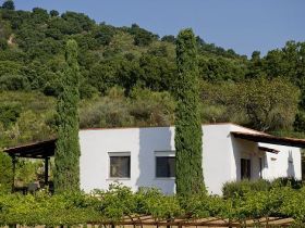 Ferienwounungen in Feriennlage mit Pool