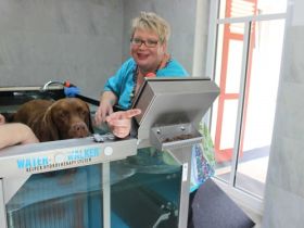 Kleintierpraxis für Physiotherapie&Osteopathie Anne Freischlad-Jahn